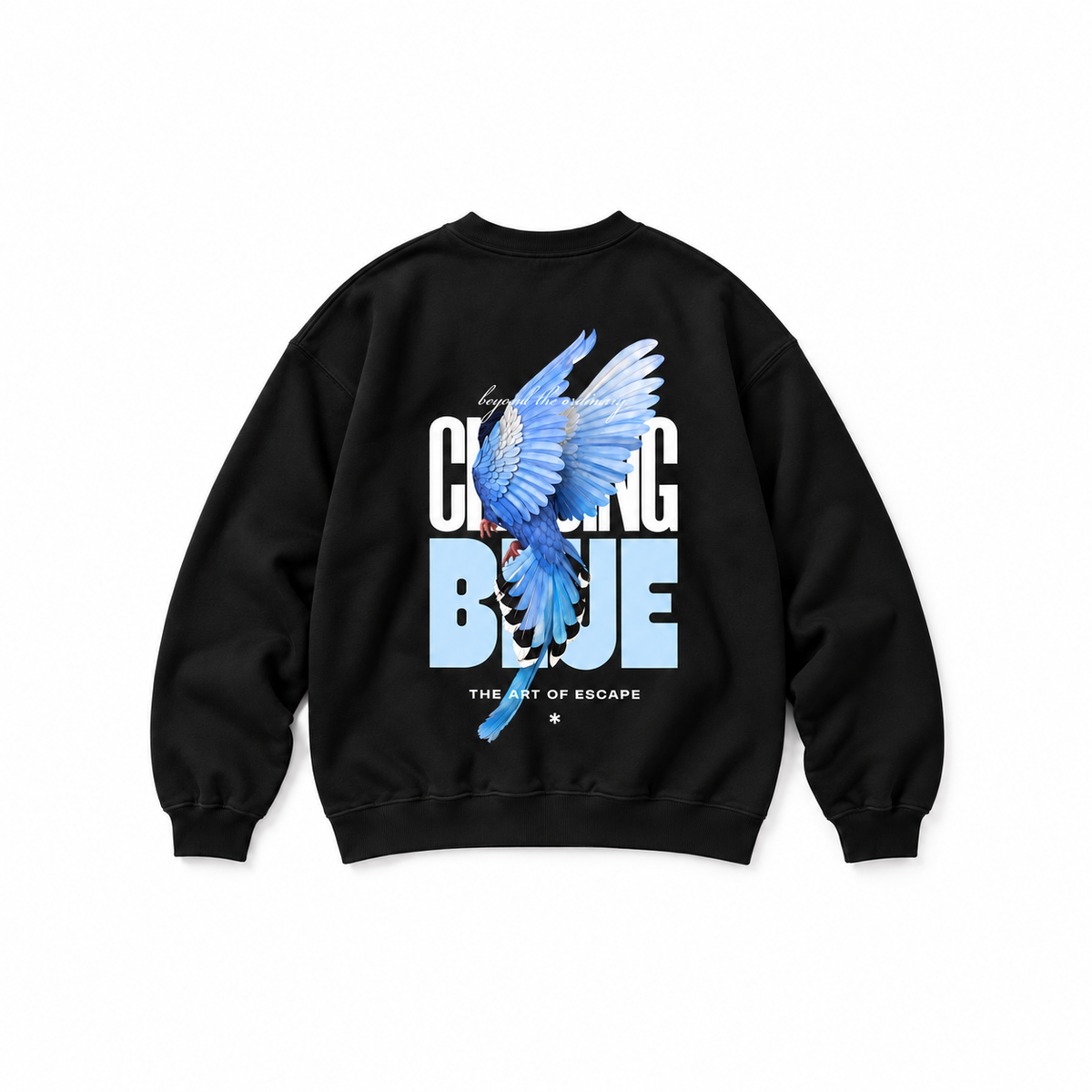 Free Spirit Crewneck Sweatshirt — Black