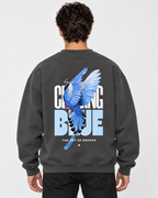 Free Spirit Crewneck Sweatshirt — Charcoal