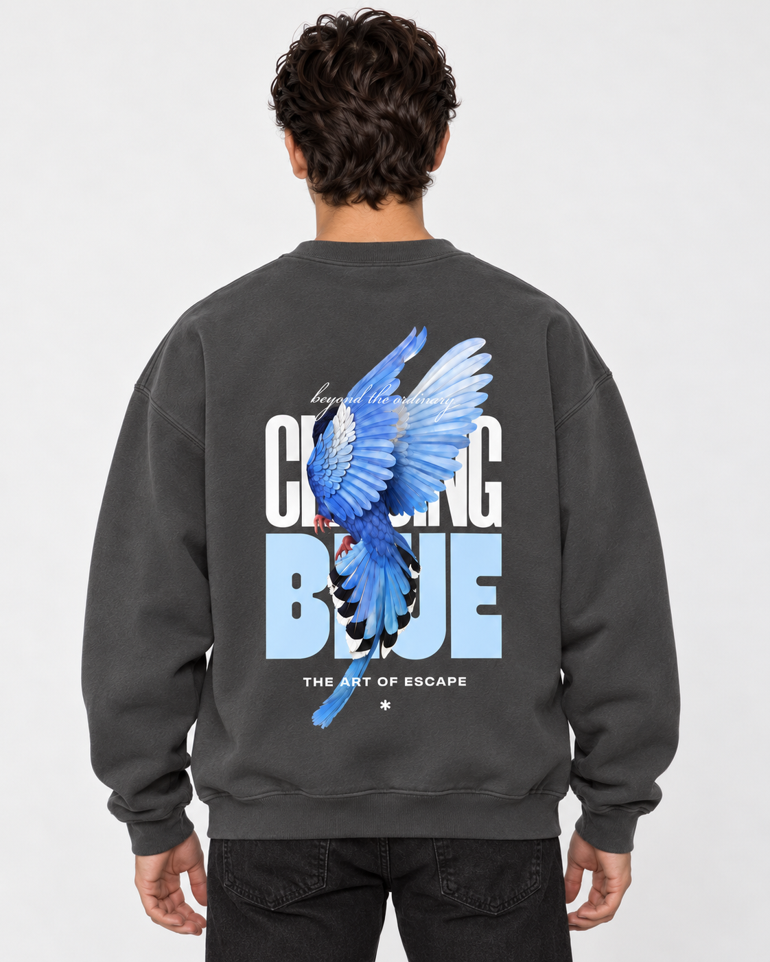 Free Spirit Crewneck Sweatshirt — Charcoal