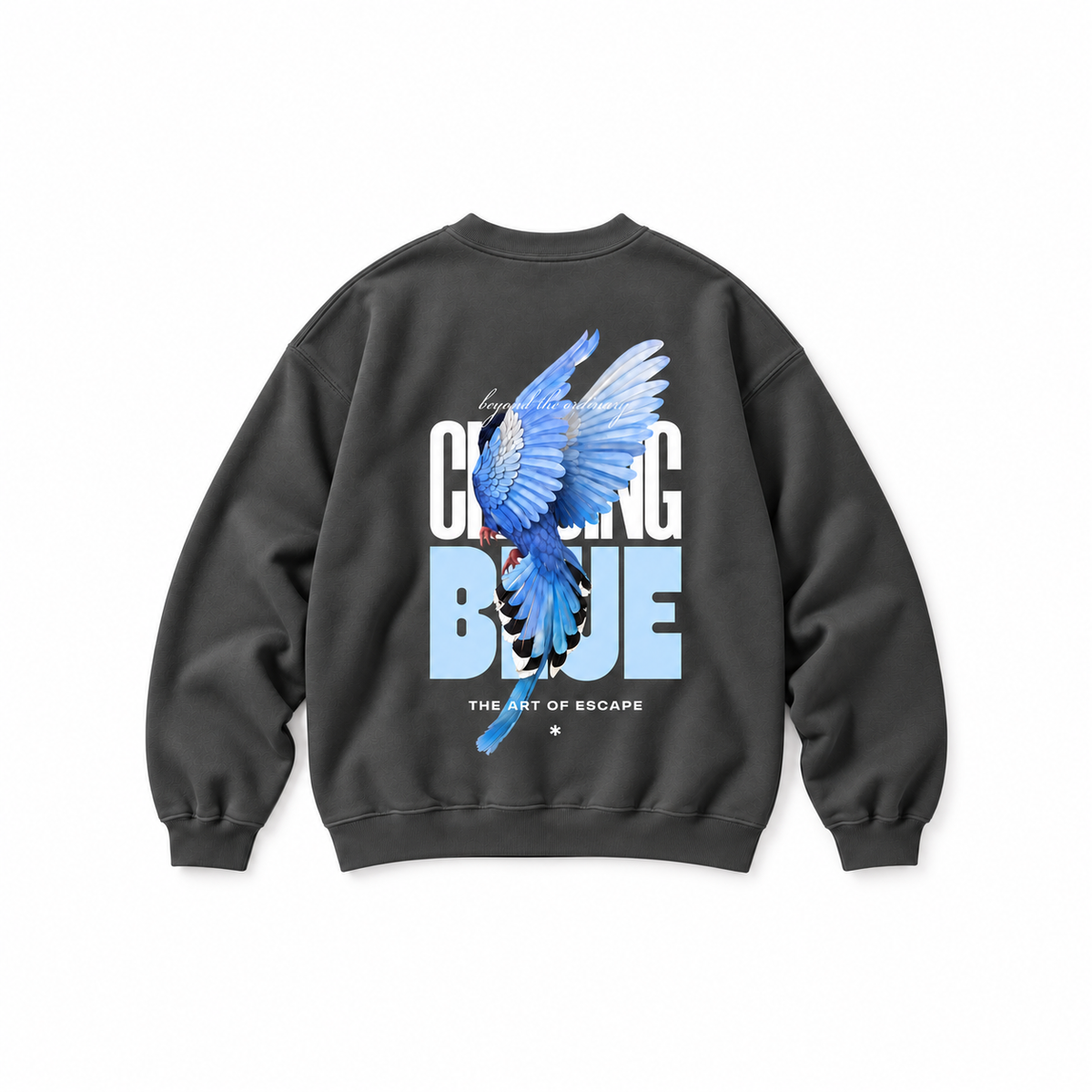 Free Spirit Crewneck Sweatshirt — Charcoal