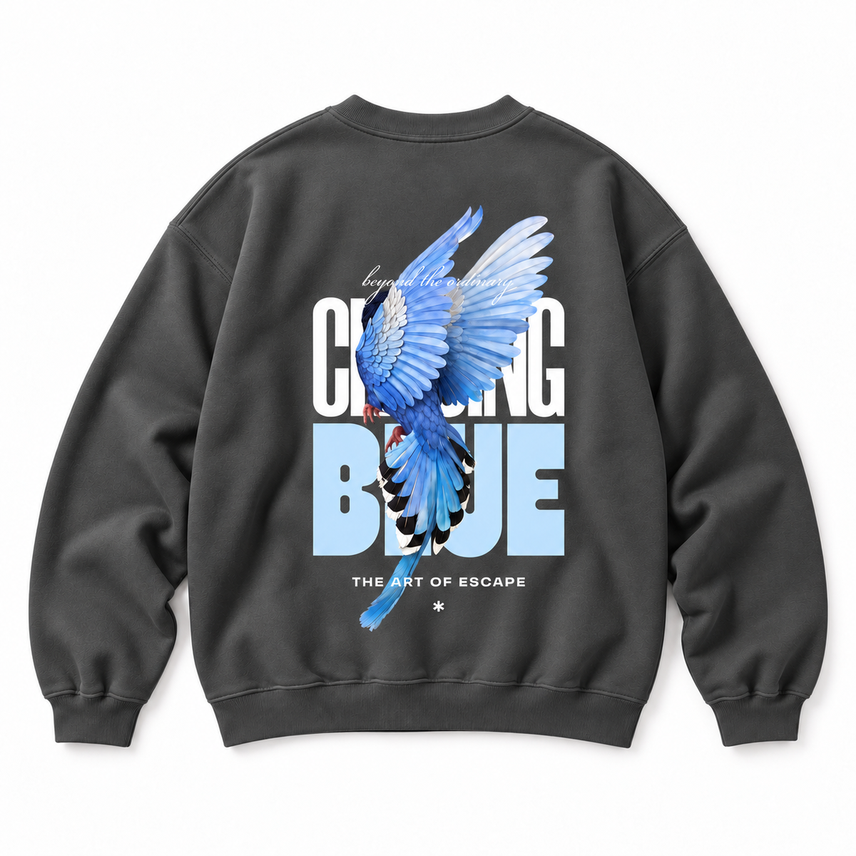 Free Spirit Crewneck Sweatshirt — Charcoal